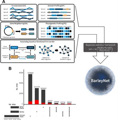 BarleyNet: A Network-Based Functional Omics Analysis Server for Cultivated Barley, Hordeum vulgare L.